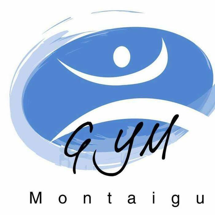 Gala Annuel De Gymnastique Terres De Montaigu