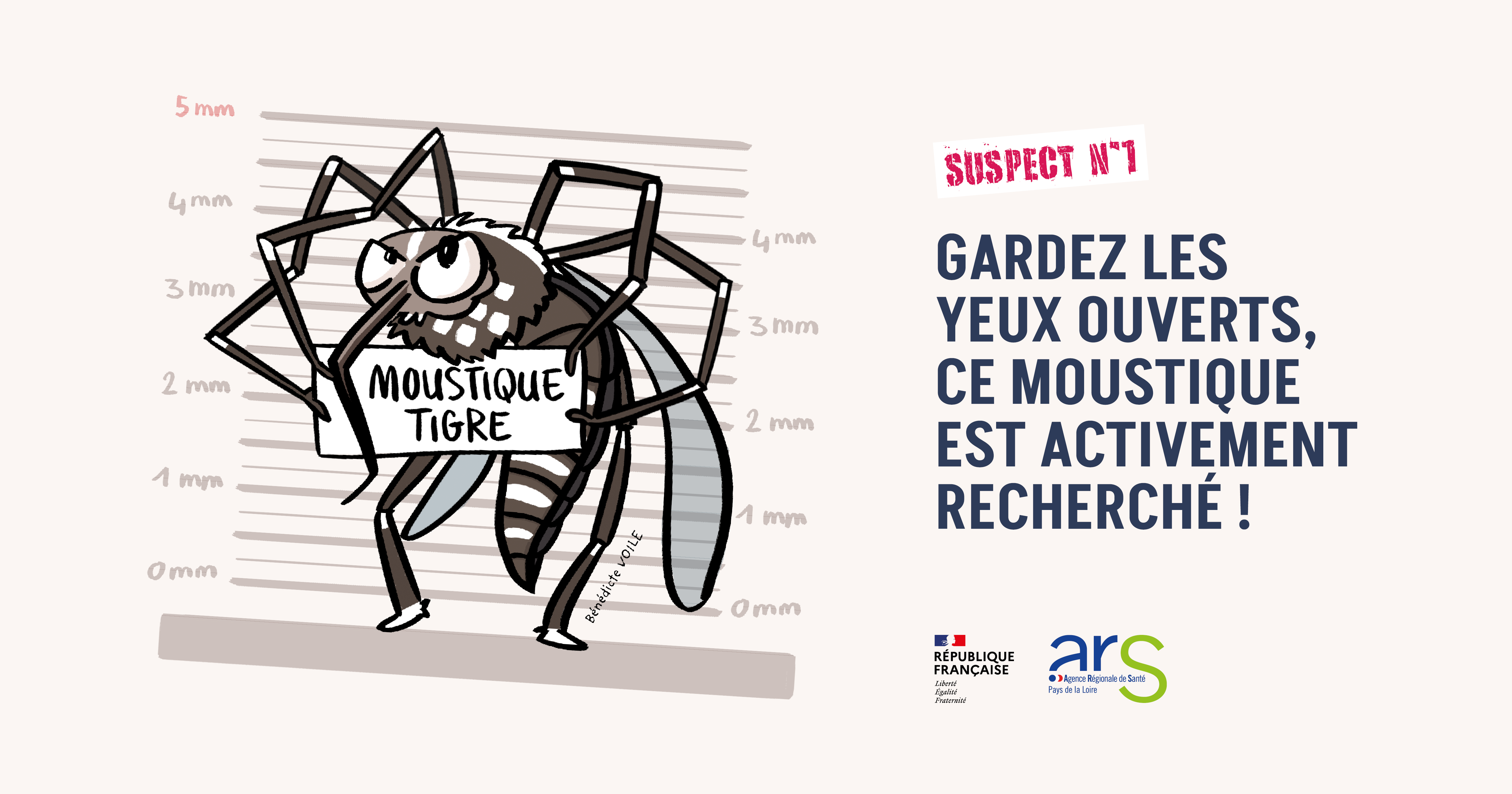 Les bons gestes pour limiter la prolifération du moustique tigre